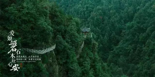 汽车改气后现在发抖怎么回事游戏画面