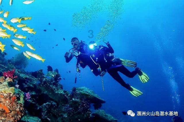 饥饿的哈利