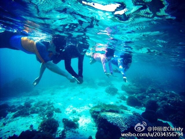 豆瓣评分4分，票房5.5万！陈都灵的麻烦有多大？这下谁也救不了她