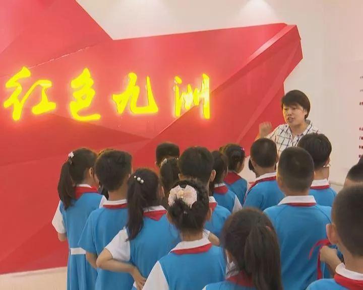 救援大嘴鸟